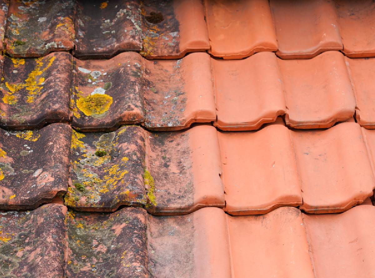 Roofers in Cannock and Staffordshire Roofers in Cannock and Staffordshire